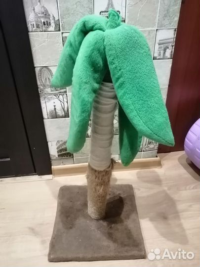 Когтеточка