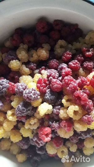 Саженцы малины Желтое чудо, Брянское диво