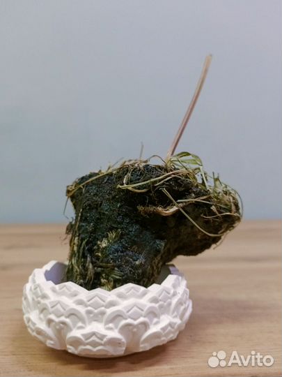 Свеча земляная с солнцестояния