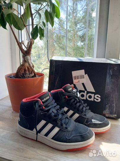 Кеды Adidas мужские