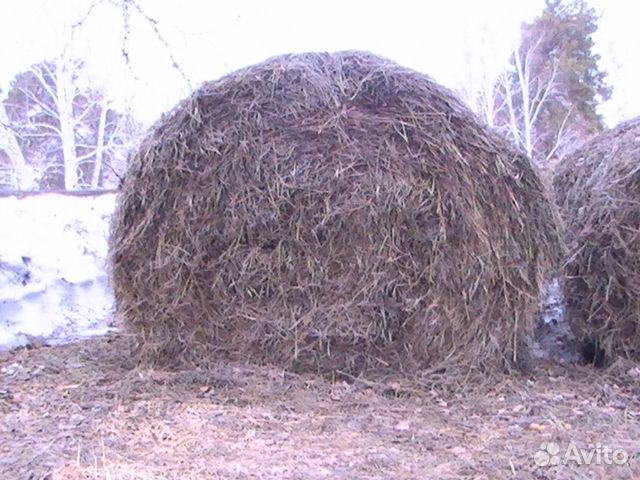 Сено в тюках