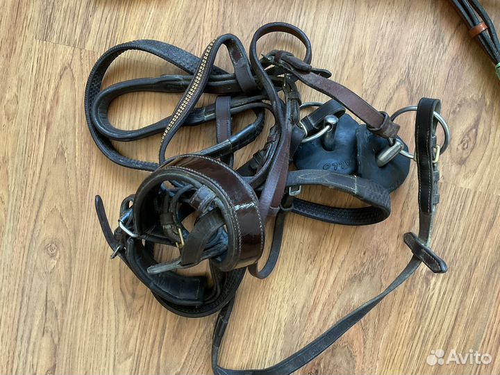 Конное снаряжение acavallo