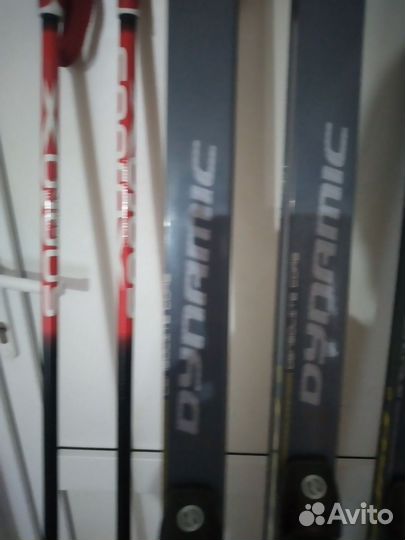 Беговые лыжи