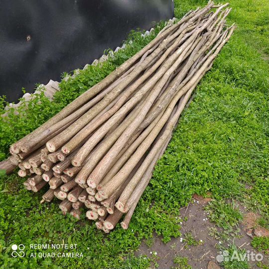 Столбики акации