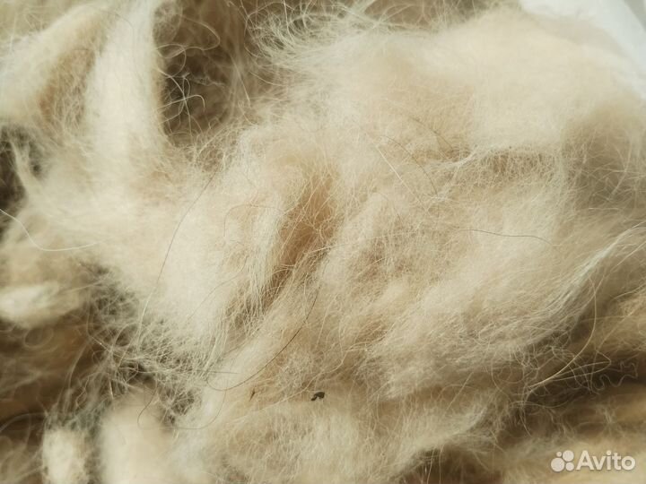 Собачья шерсть пряжа