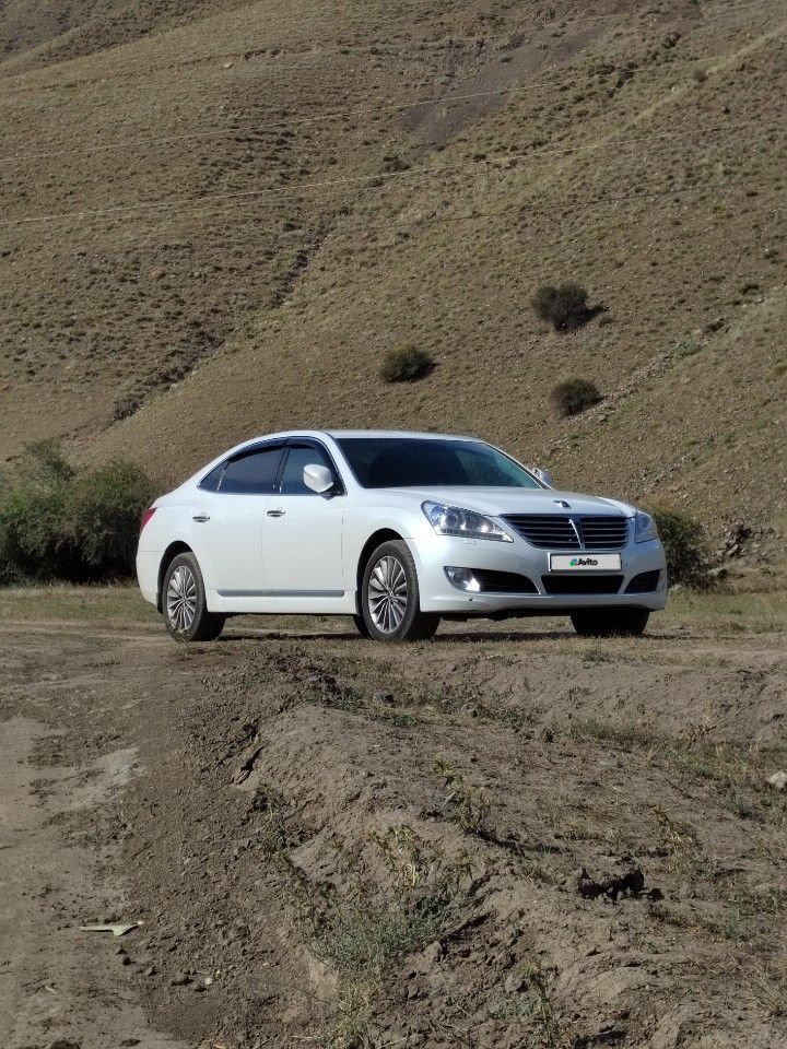 Hyundai Equus: фото владельца