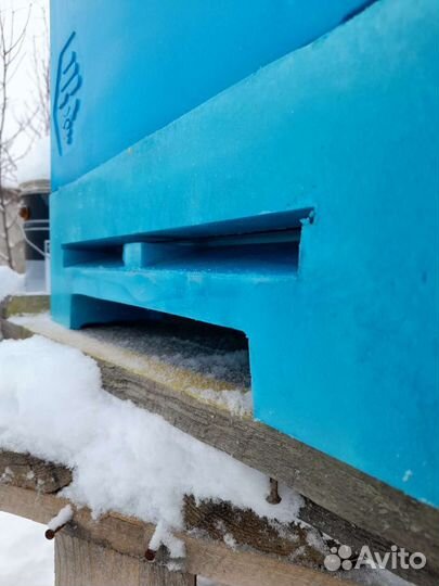 Ульи ппу,Пенополиуретан