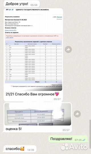 Репетитор по математике. Подготовка к егэ/огэ