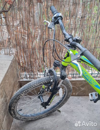 Горный велосипед Mongoose 20 Rockadile