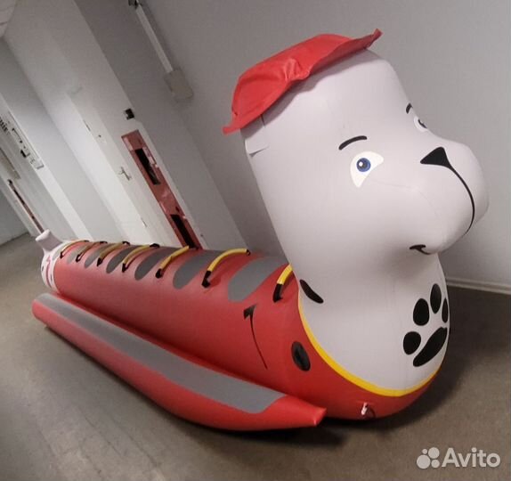 Зимний банан Собака