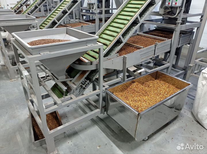 Кедровый орех оптом от Производителя