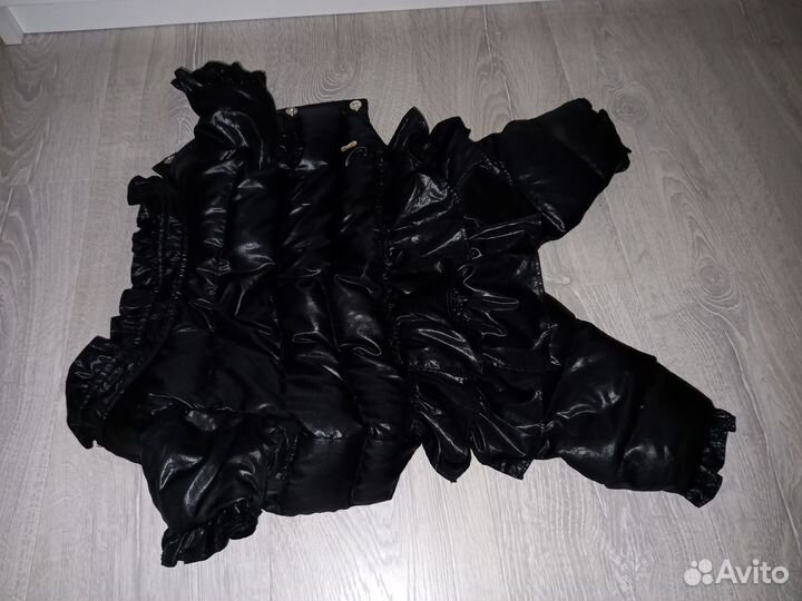 Зимняя одежда для собак