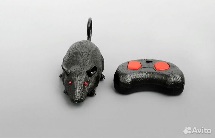 Крыса на радиоуправлении новая