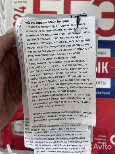 ЕГЭ русский язык 2024