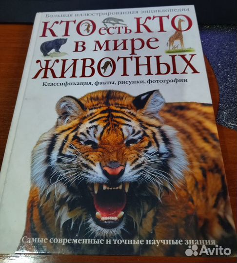 Энциклопедия для детей