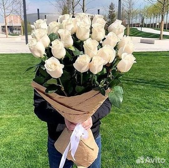 Высокие розы