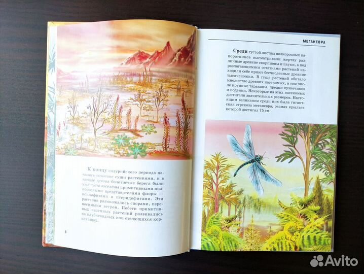 Книга детская 