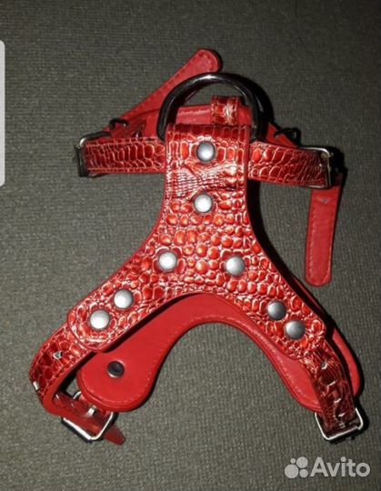 Шлейка для маленькой собаки