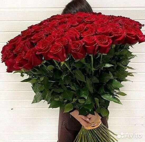 Высокие розы Гигантские Розы 150 160 170 180 190см