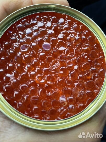 Икра красная горбуши 2023 Камчатка