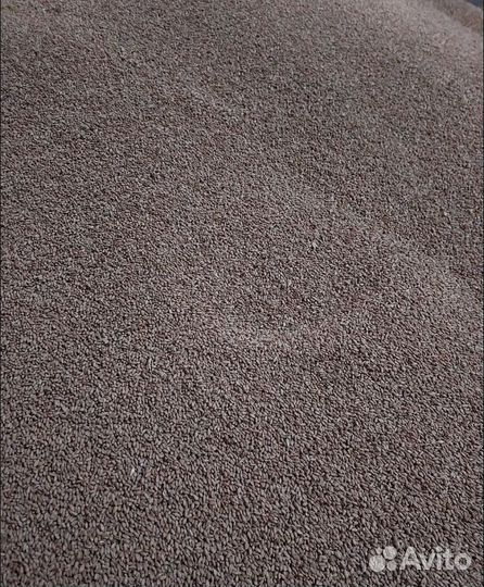 Рожь яровая, Кормовой овёс на корм/посев