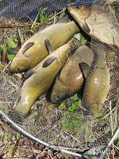 Продам готовый бизнес база отдыха