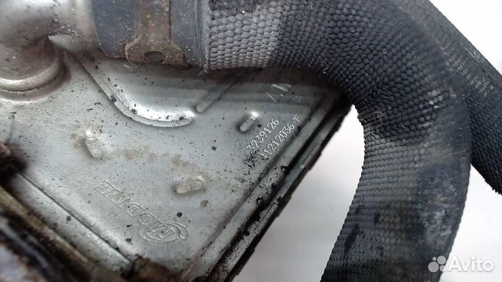 Охладитель отработанных газов LDV (DAF) Maxus, 200