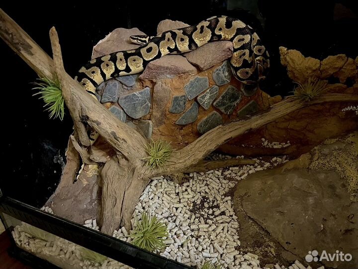 Террариум 60x45x45 см, NomoyPet