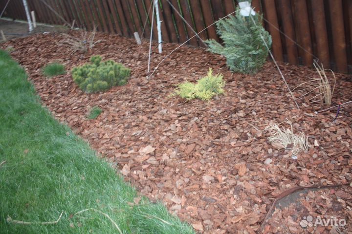 Кора лиственницы. Фракция 0-15 мм