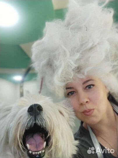 Груминг собак и кошек