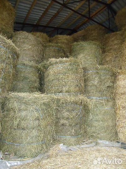 Сено в тюках рулон 300кг