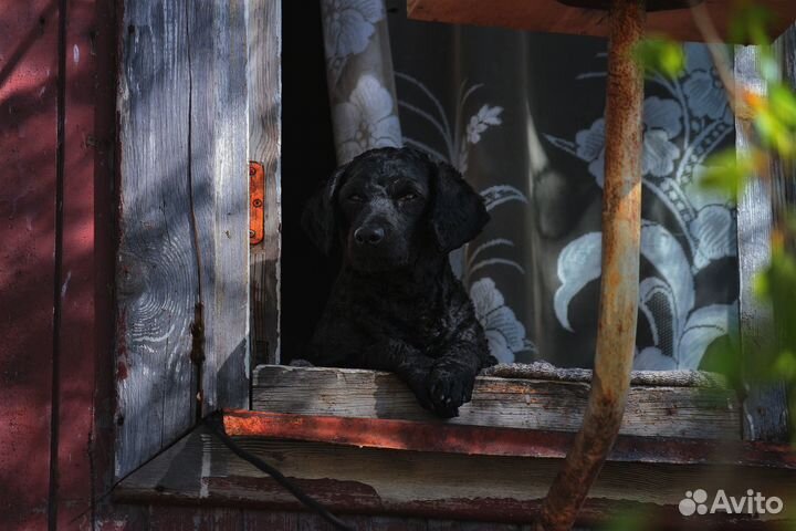 Фотомонтаж/ретушь фото. Видеомонтаж. Арт