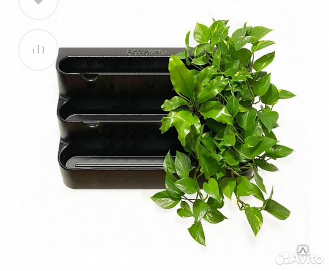 Фитомодуль boxsand-21 (100х65 см). Цвет черный