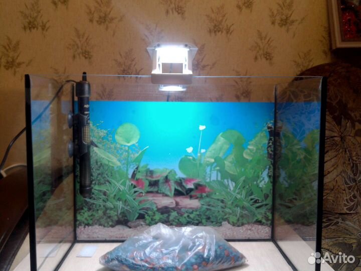 Аквариум
