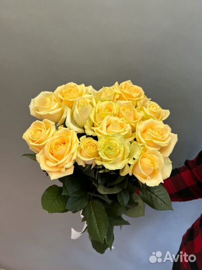 Роза Голландия. Букеты цветов на любое мероприятие