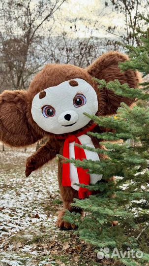 Аниматор. Ростовая кукла. Поздравление Чебурашки