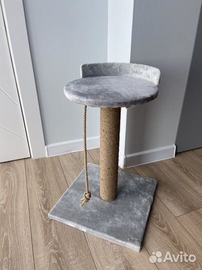 Когтеточка