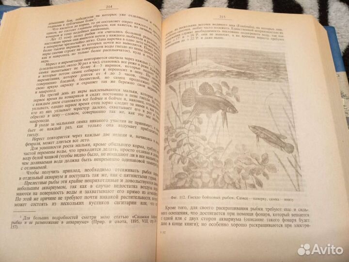 Золотницкий Н. Ф. Аквариум любителя