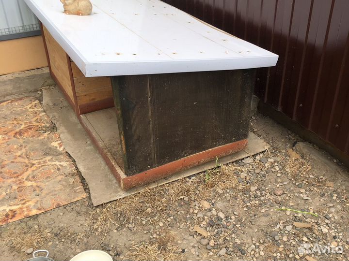 Собачья будка