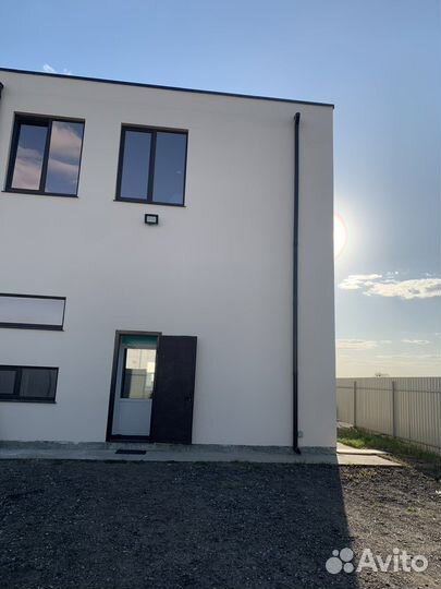 Передержка для собак