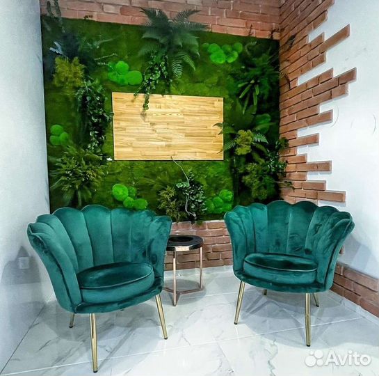 Фитокартина фитостена мох стабилизированный