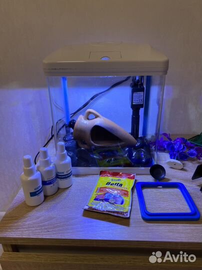 Аквариум