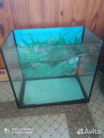 Аквариум