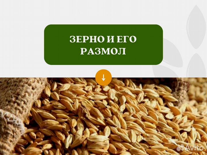 Пшеница Размол (кг)