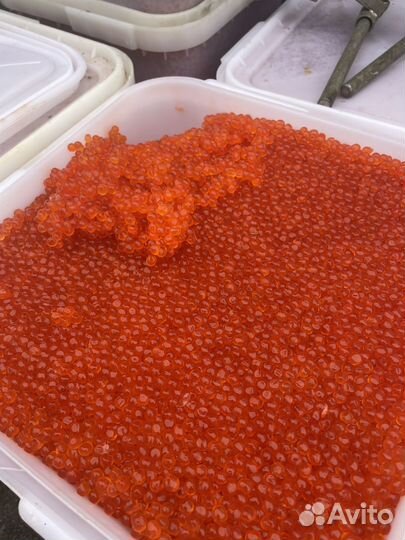 Икра красная