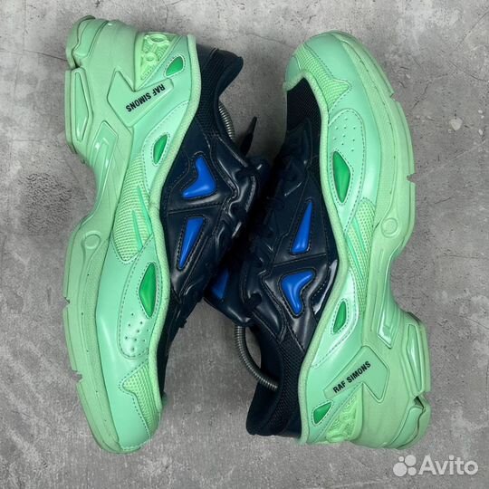 Raf Simons Pharaxus Black Green