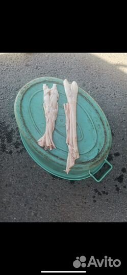 Ахиллова сухожилия корм для собак(животных)