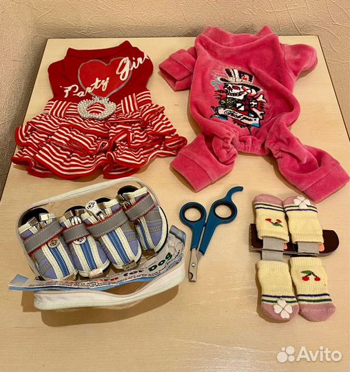 Одежда для маленьких пород собак