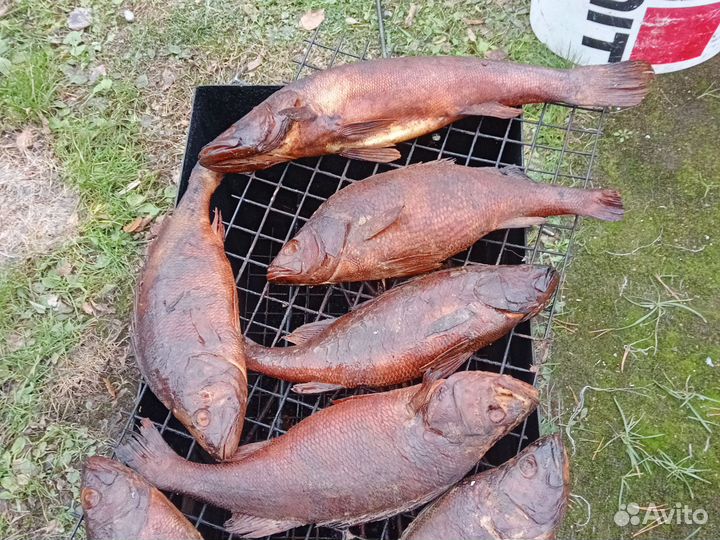 Рыба горячего копчения