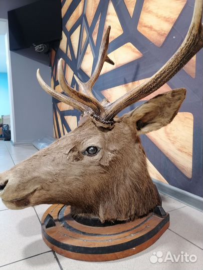 Декор для дома и кафе